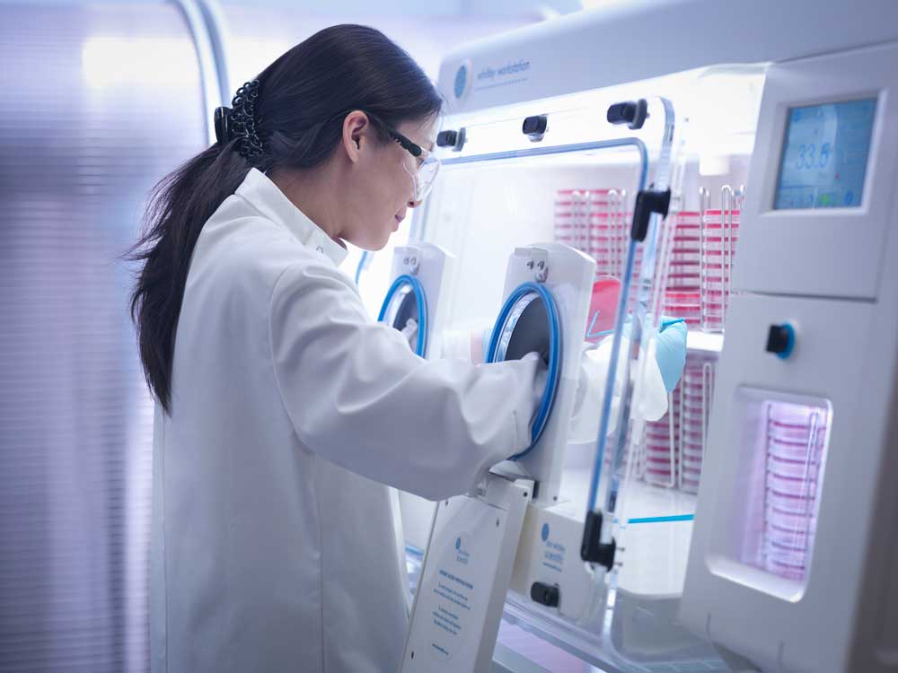 Komory rękawicowe do zastosowań w mikrobiologii